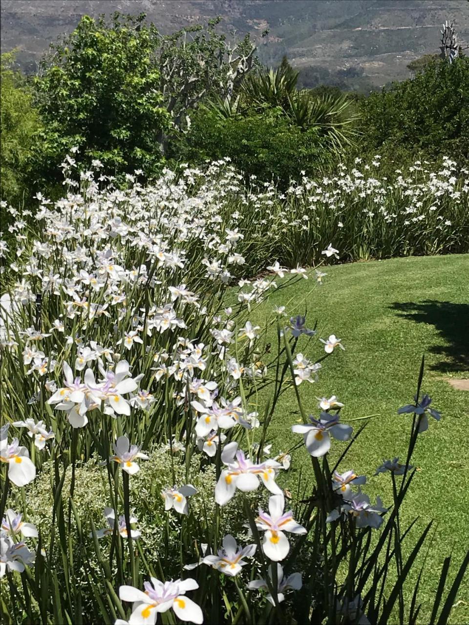 Majini Guesthouse Sweet Valley Εξωτερικό φωτογραφία